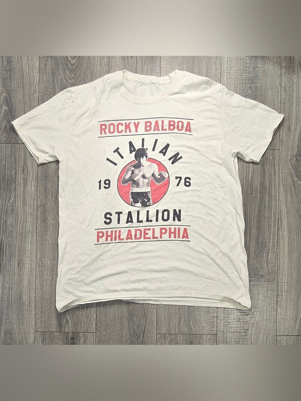 Rocky Balboa Italian Stallion 1976 Philadelphia Heavyweight Graphic T-Shirt L
